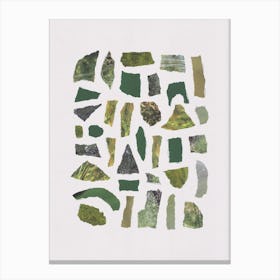 Shades Of Green Canvas Print
