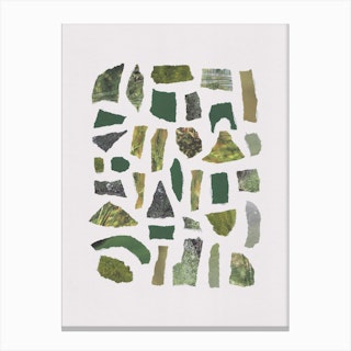 Shades Of Green Canvas Print
