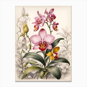 Orchids 4 Canvas Print