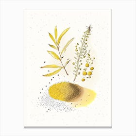 Mustard Seed Spices And Herbs Pencil Illustration 1 Canvas Print