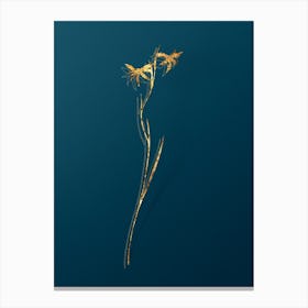 Vintage Gladiolus Watsonius Botanical in Gold on Teal Blue Canvas Print