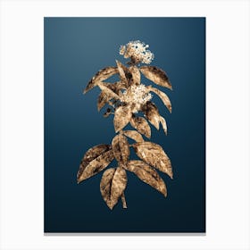 Gold Botanical Laurustinus on Dusk Blue n.1585 Canvas Print