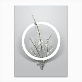 Vintage White Broom Minimalist Floral Geometric Circle on Soft Gray n.0279 Canvas Print