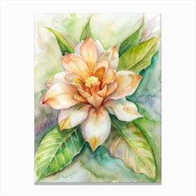 Magnolia Flower Canvas Print