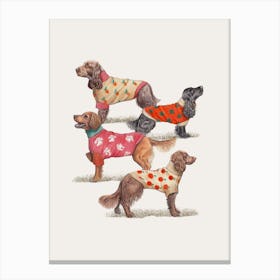 Spaniels In Sweaters Canvas Print