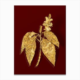Vintage Malabar Nut Botanical in Gold on Red n.0526 Canvas Print