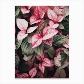 Pink Leaves Canvas Print