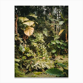 Little botanical jungle garden | Tropical | Hortus Botanicus | Amsterdam Canvas Print