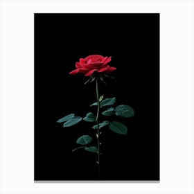 Single Red Rose 19 Canvas Print