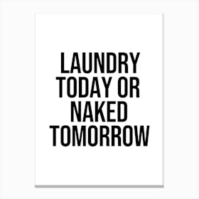 Laundry Today Or Naked Tomorrow Canvas Print