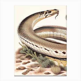 Prairie Rattlesnake Vintage Canvas Print