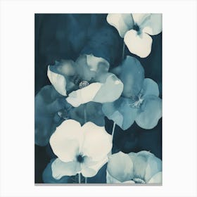 Blue Poppies Canvas Print Canvas Print