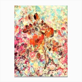 Impressionist Austrian Briar Rose Botanical Painting in Blush Pink and Gold n.0038 Canvas Print