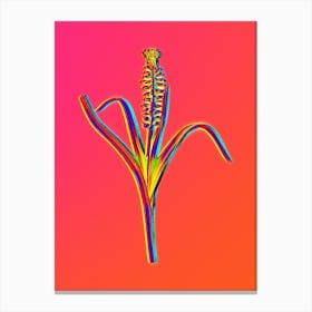 Neon Grape Hyacinth Botanical in Hot Pink and Electric Blue Canvas Print