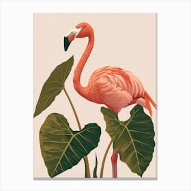 Lesser Flamingo And Alocasia Elephant Ear Minimalist Illustration 2 Canvas Print
