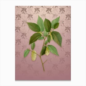Vintage American Hophornbeam Botanical on Dusty Pink Pattern Canvas Print