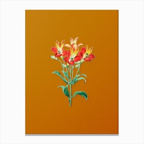 Vintage Red Speckled Flowered Alstromeria Botanical on Sunset Orange n.0147 Canvas Print