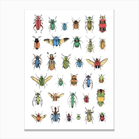 Beetles Canvas Print