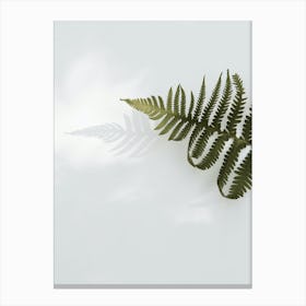 Fern Leaf Canvas Print