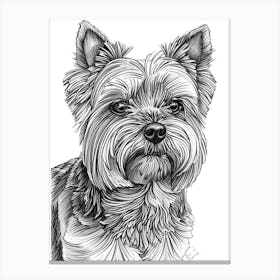 Yorkshire Terrier Dog Line Sketch 3 Canvas Print