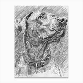 Dog Pencil Line Sketch 3 Canvas Print