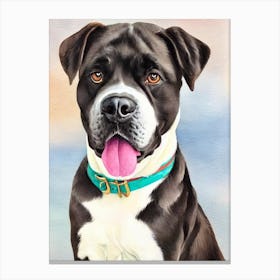 Cane Corso 4 Watercolour dog Canvas Print