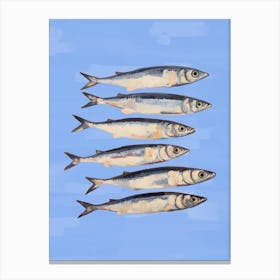 Sardines In Blue Canvas Print