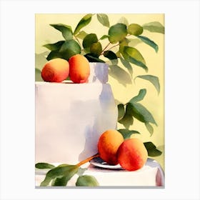Longan 2 Italian Watercolour fruit Canvas Print