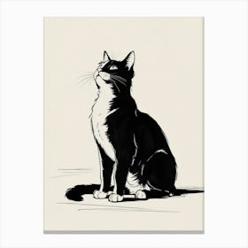 Black Cat 2 Canvas Print