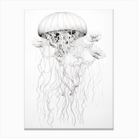 Turritopsis Dohrnii Importal Jellyfish 2 Canvas Print