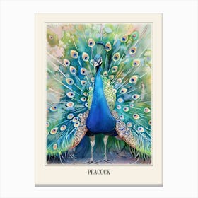 Peacock Colourful Watercolour 4 Poster Canvas Print