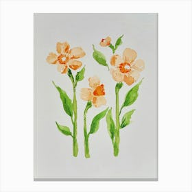 Flores Naranja Canvas Print