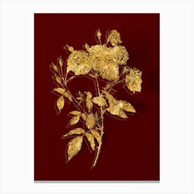 Vintage Ternaux Rose Bloom Botanical in Gold on Red n.0309 Canvas Print
