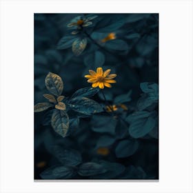 Dark Flower 40 Canvas Print