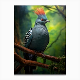 Victoria Crowned Pigeon Wall Art Canvas Print