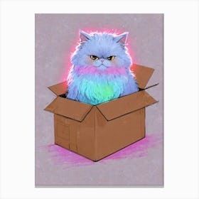Cat In A Box 8 Canvas Print