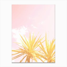 Abstract Yellow Miami Palm Trees and Pink Sky Canvas Print