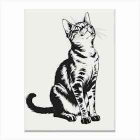 Cat Looking Canvas Print