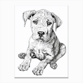 Dogo Argentino Dog Line Sketch 1 Canvas Print