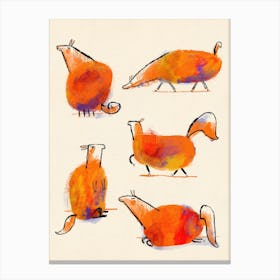 Collection Of Orange Horses Canvas Print