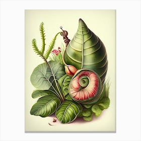 Garden Snail  Botanical Canvas Print