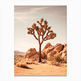 Photograph Of A Joshua Tree In Rocky Landscape 1 Canvas Print