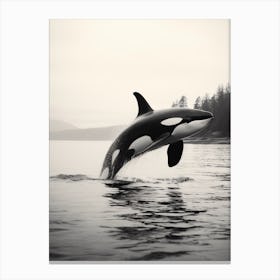 Realistic Black & White Photography Of Orca Whale Diving Out Of Ocean 3 Canvas Print