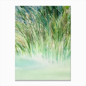 Sea Grasses Storybook Watercolour Canvas Print