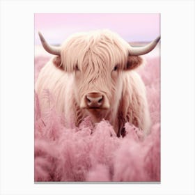 Curious Pink Highland Cow Canvas Print