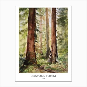 Redwood Forest 4 Watercolour Travel Poster Canvas Print