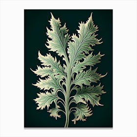 Artemisia Leaf Vintage Botanical 3 Canvas Print