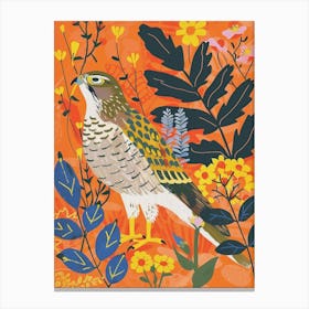 Spring Birds Eurasian Sparrowhawk 2 Canvas Print