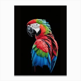 Colorful Parrot 1 Canvas Print