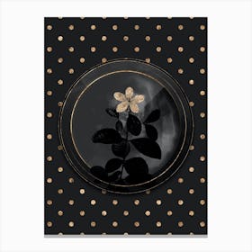 Shadowy Vintage Gardenia Botanical on Black and White Botanical in Black and Gold n.0053 Canvas Print